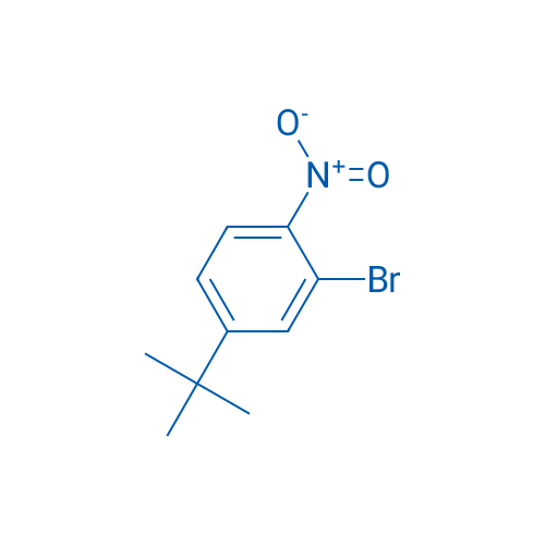 2-Bromo-4-(tert-butyl)-1-nitrobenzene 10g