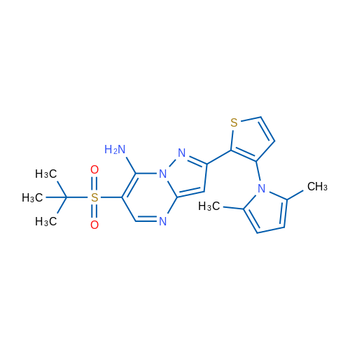 2-[3-(2,5-Dimethyl-1H-pyrrol-1-yl)thiophen-2-yl]-6-(2-methylpropane-2-sulfonyl)pyrazolo[1,5-a]pyrimidin-7-amine 1g