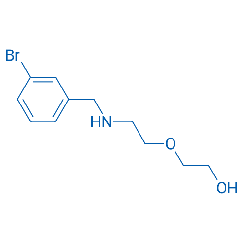 2-(2-{[(3-bromophenyl)methyl]amino}ethoxy)ethan-1-ol 1g