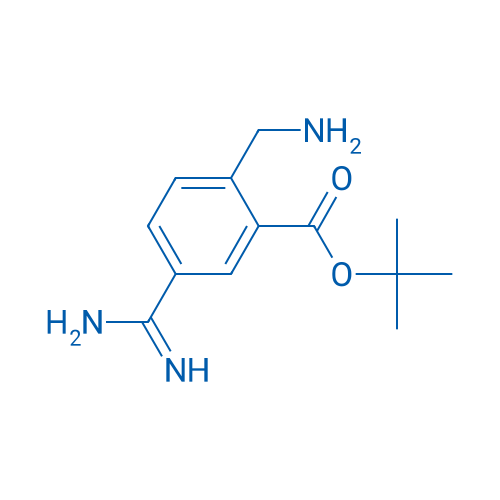 tert-Butyl 2-(aminomethyl)-5-carbamimidoylbenzoate 1g