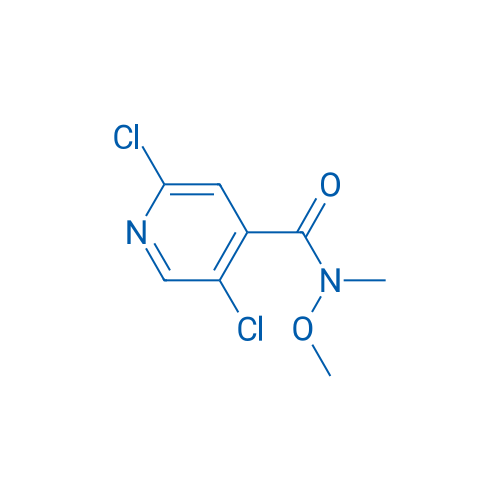 2,5-Dichloro-N-methoxy-N-methylisonicotinamide 1g