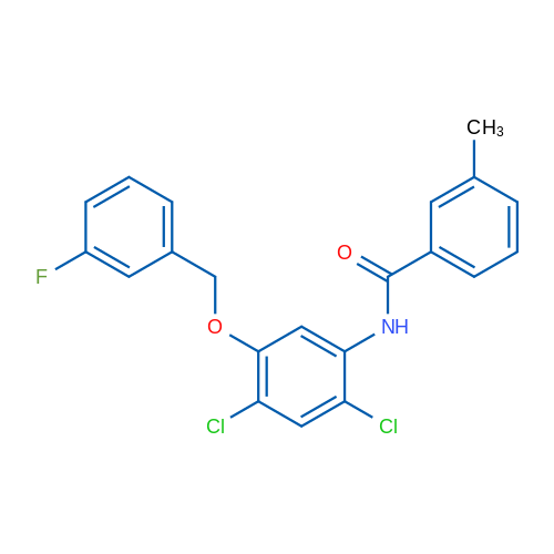 N-{2,4-dichloro-5-[(3-fluorophenyl)methoxy]phenyl}-3-methylbenzamide 1g