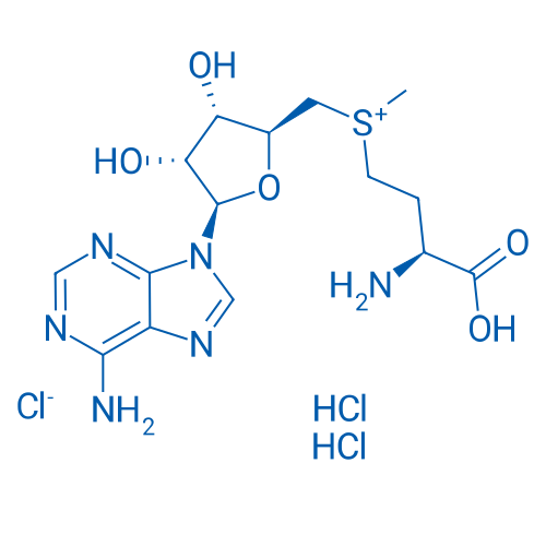 S-Adenosyl-L-methionine chloride 2HCl 1g