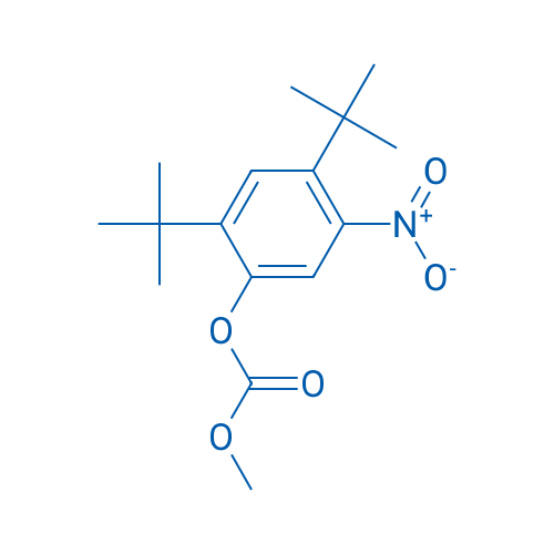 2,4-Di-tert-butyl-5-nitrophenyl methyl carbonate 250mg