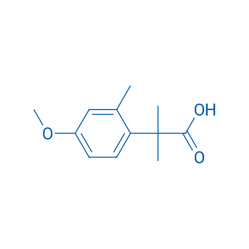 2-(4-Methoxy-2-methylphenyl)-2-methylpropanoic acid 1g