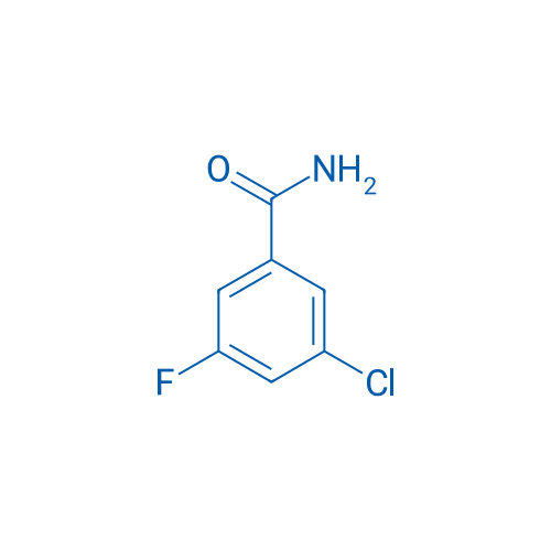 3-Chloro-5-fluorobenzamide 1g