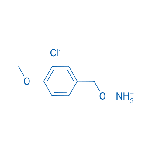 O-(4-Methoxybenzyl)hydroxylamine hydrochloride 1g