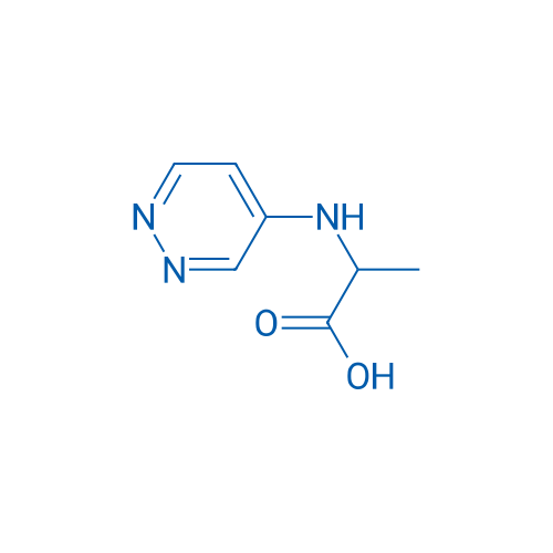 2-[(Pyridazin-4-yl)amino]propanoic acid 1g