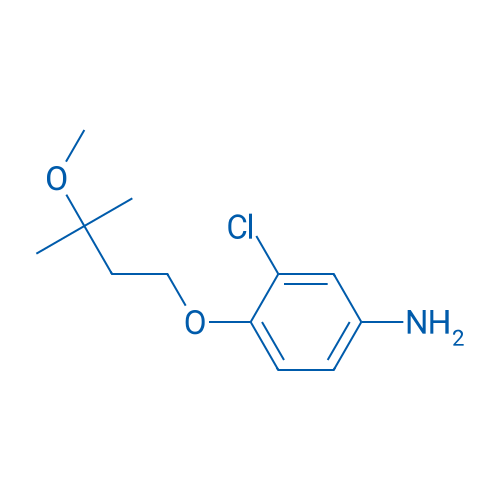 3-Chloro-4-(3-methoxy-3-methylbutoxy)aniline 1g