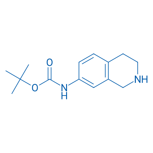 tert-Butyl (1,2,3,4-tetrahydroisoquinolin-7-yl)carbamate 100mg