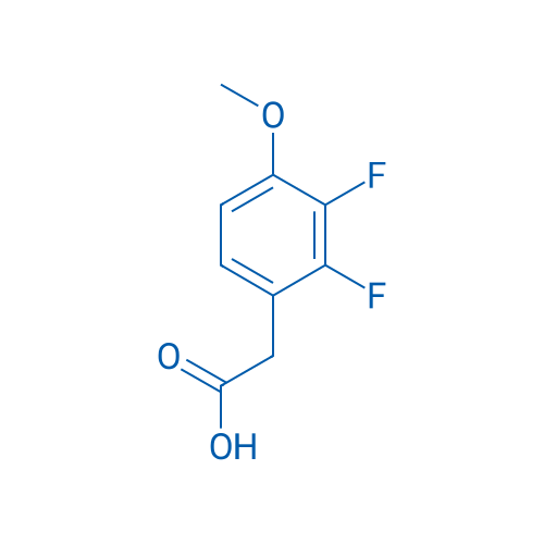 2-(2,3-Difluoro-4-methoxyphenyl)acetic acid 1g