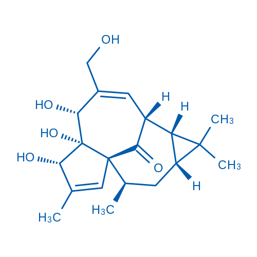 (1aR,2R,5R,5aR,6S,8aS,9R,10aR)-5,5a,6-Trihydroxy-4-(hydroxymethyl)-1,1,7,9-tetramethyl-1a,2,5,5a,6,9,10,10a-octahydro-1H-2,8a-methanocyclopenta[a]cyclopropa[e][10]annulen-11-one 100mg