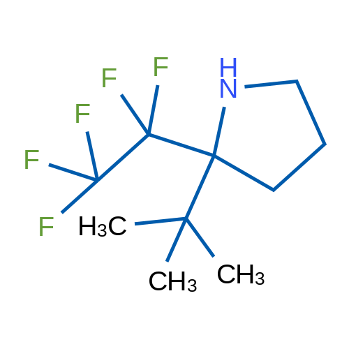 2-tert-Butyl-2-(1,1,2,2,2-pentafluoroethyl)pyrrolidine 1g