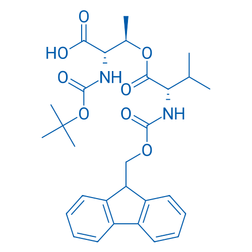Boc-Thr(Fmoc-Val)-OH 1g