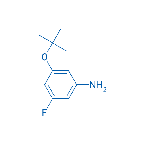 3-(tert-Butoxy)-5-fluoroaniline 1g