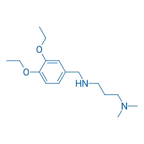 [(3,4-Diethoxyphenyl)methyl][3-(dimethylamino)propyl]amine 1g