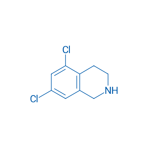 5,7-Dichloro-1,2,3,4-tetrahydroisoquinoline 250mg
