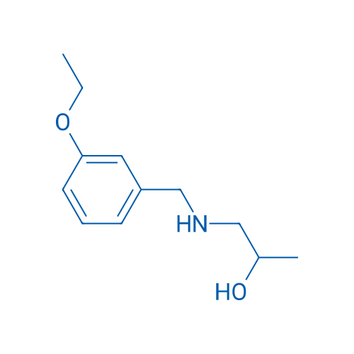 1-{[(3-ethoxyphenyl)methyl]amino}propan-2-ol 1g