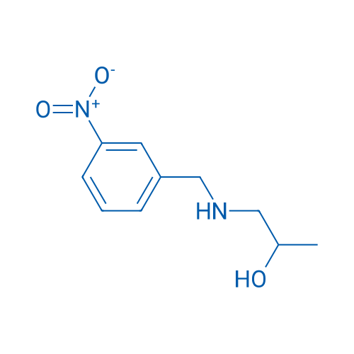 1-{[(3-nitrophenyl)methyl]amino}propan-2-ol 1g
