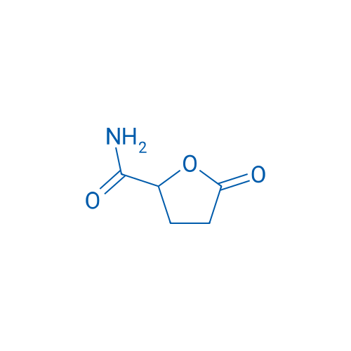 5-Oxooxolane-2-carboxamide 1g