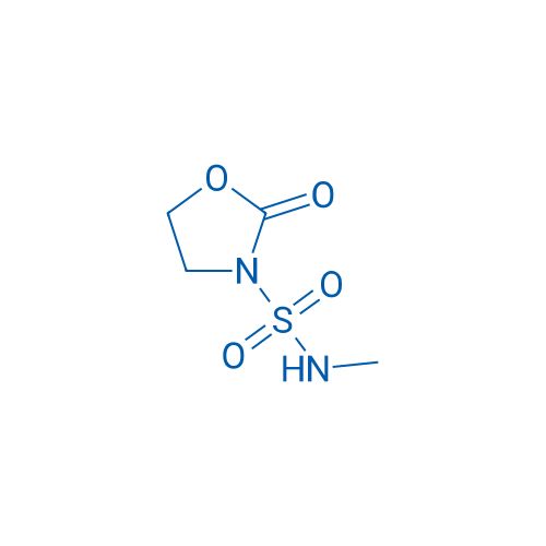 N-Methyl-2-oxooxazolidine-3-sulfonamide 250mg
