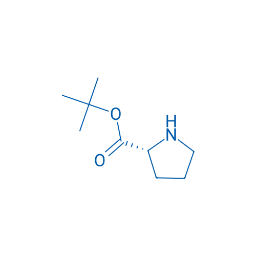 H-D-Pro-OtBu 1g