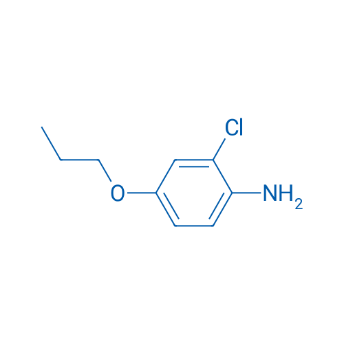 2-Chloro-4-propoxyaniline 1g