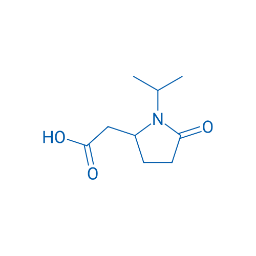 2-[5-Oxo-1-(propan-2-yl)pyrrolidin-2-yl]acetic acid 1g