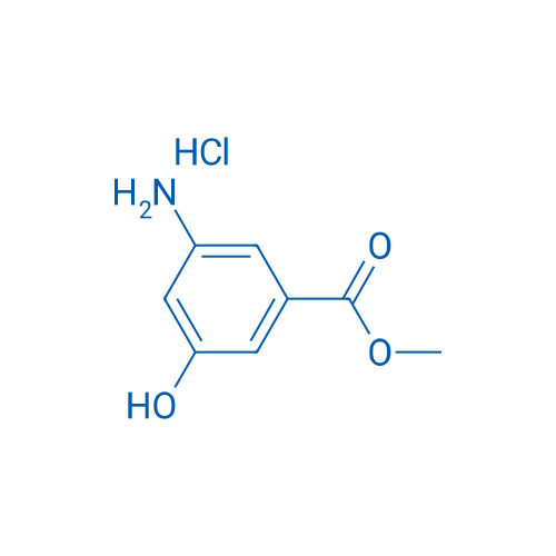 Methyl 3-amino-5-hydroxybenzoate hydrochloride 1g
