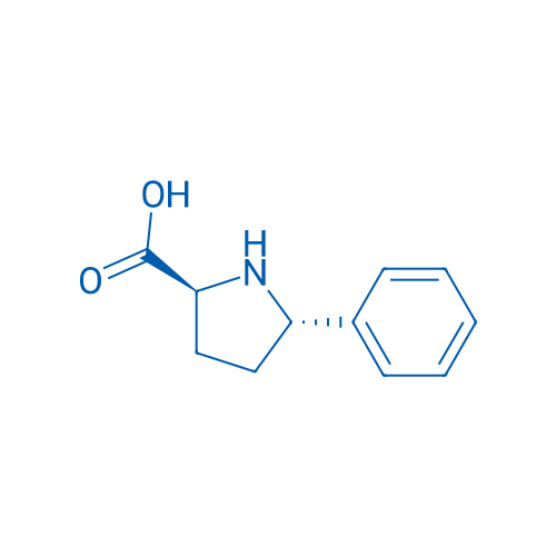 (2S,5S)-5-Phenylpyrrolidine-2-carboxylic acid 1g