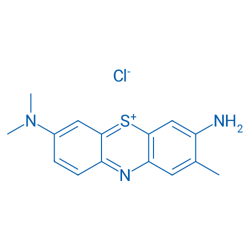 Toluidine Blue 100g