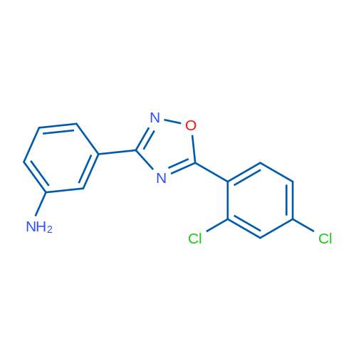 3-[5-(2,4-Dichlorophenyl)-1,2,4-oxadiazol-3-yl]aniline 1g