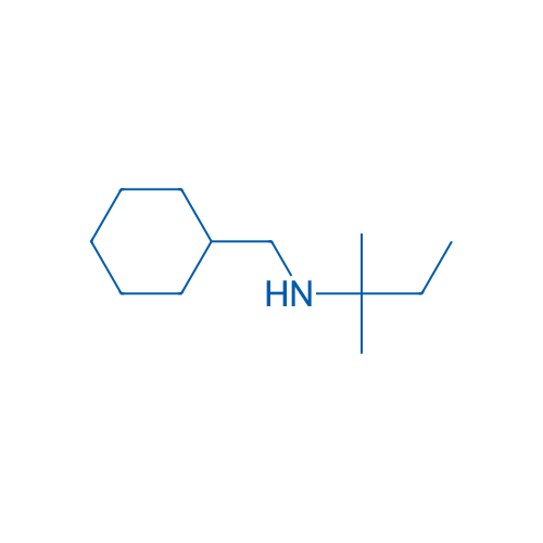 (Cyclohexylmethyl)(2-methylbutan-2-yl)amine 5g