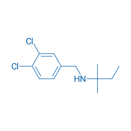 [(3,4-Dichlorophenyl)methyl](2-methylbutan-2-yl)amine 1g