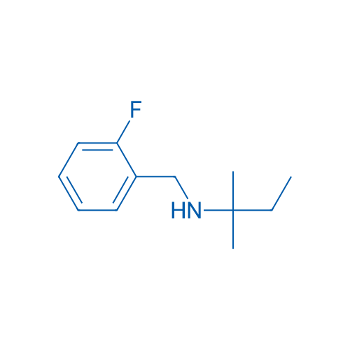 [(2-Fluorophenyl)methyl](2-methylbutan-2-yl)amine 1g