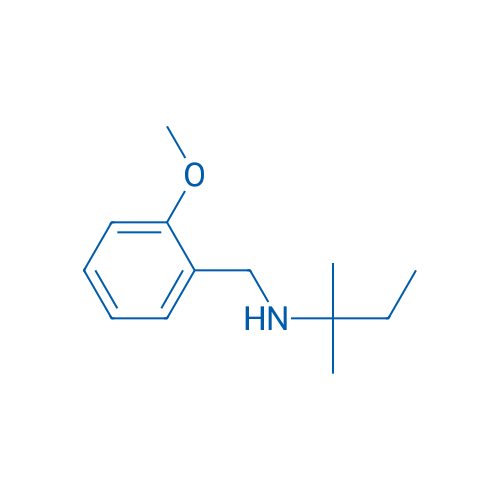 [(2-Methoxyphenyl)methyl](2-methylbutan-2-yl)amine 1g