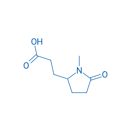 3-(1-Methyl-5-oxopyrrolidin-2-yl)propanoic acid 250mg