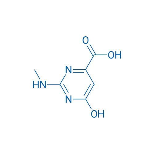 6-Hydroxy-2-(methylamino)pyrimidine-4-carboxylic acid 1g