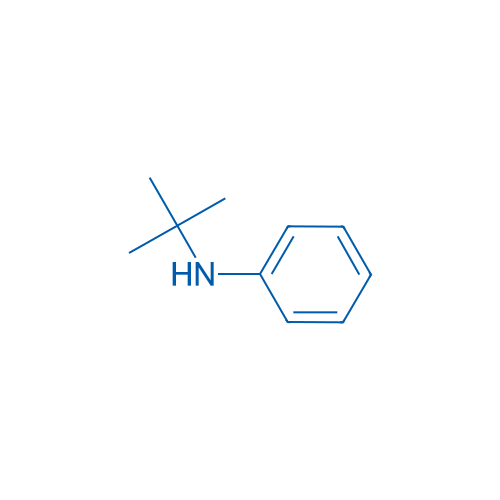 N-tert-Butylaniline 1g