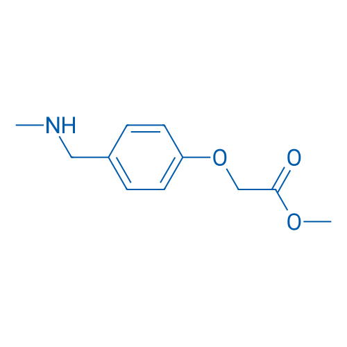 Methyl 2-{4-[(methylamino)methyl]phenoxy}acetate 1g