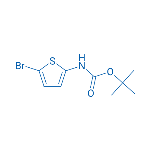 tert-Butyl (5-bromothiophen-2-yl)carbamate 250mg
