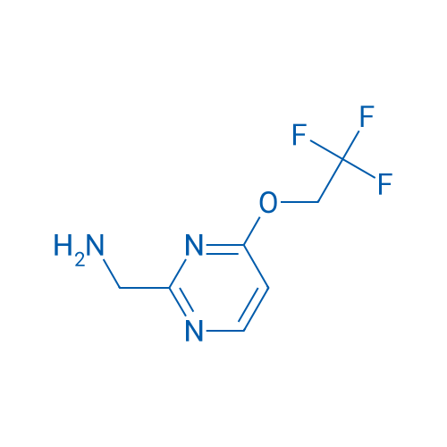 (4-(2,2,2-Trifluoroethoxy)pyrimidin-2-yl)methanamine 1g