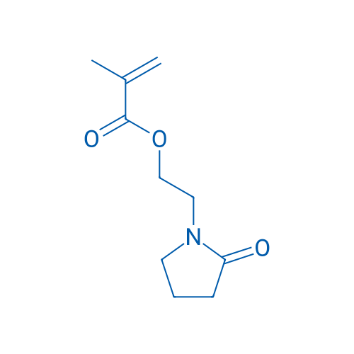 2-(2-Oxopyrrolidin-1-yl)ethyl methacrylate 250mg