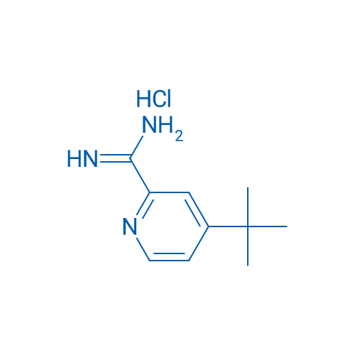 4-(tert-Butyl)picolinimidamide hydrochloride 100mg