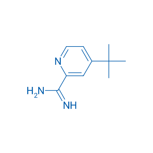 4-(tert-Butyl)picolinimidamide 1g