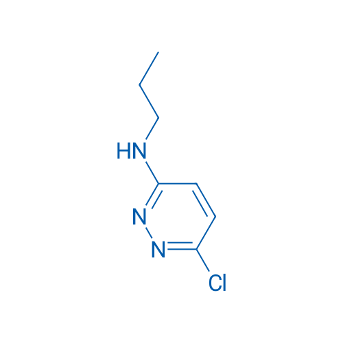 6-Chloro-N-propylpyridazin-3-amine 25g