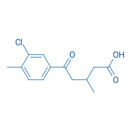 5-(3-Chloro-4-methylphenyl)-3-methyl-5-oxopentanoic acid 1g
