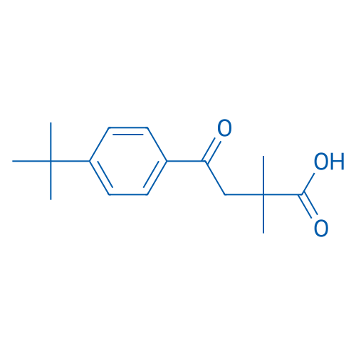 4-(4-(tert-Butyl)phenyl)-2,2-dimethyl-4-oxobutanoic acid 1g