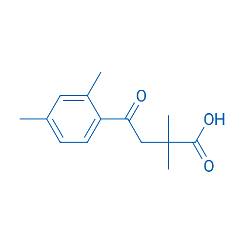 4-(2,4-Dimethylphenyl)-2,2-dimethyl-4-oxobutanoic acid 1g