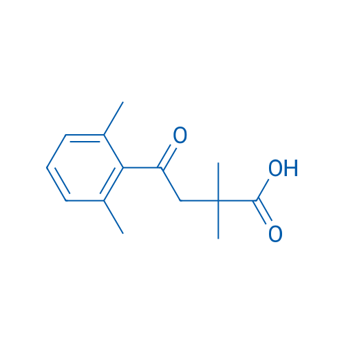 4-(2,6-Dimethylphenyl)-2,2-dimethyl-4-oxobutanoic acid 1g